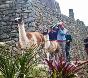 Read more about the article ENCHANTING HIGHLIGHTS OF PERU 19 DAYS